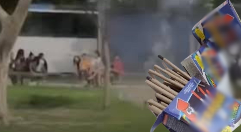 Meninas deixam cadela desfigurada após brincadeira de estourar “catolé” para assustá-la