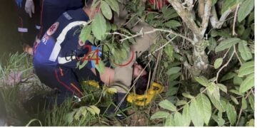 Acidente na AC-40 deixa estudante de medicina ferida após colisão com árvore