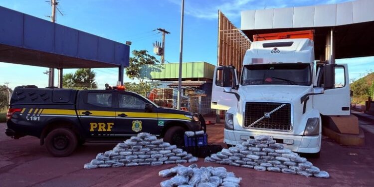 PRF apreende 172 Kg de skunk em Corumbá (MS)