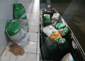 POLÍCIA MILITAR DE RONDÔNIA ATUA DE FORMA RÁPIDA E FRUSTRA FURTO DE CARGA DE SOJA NO PORTO ORGANIZADO