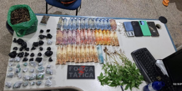 POLÍCIA MILITAR APREENDE DROGAS E PLANTAS DE MACONHA DURANTE AÇÃO POLICIAL