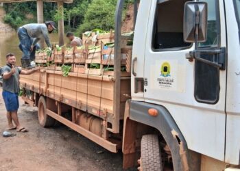 Transporte gratuito da Semagric garante renda e fortalece agricultores familiares