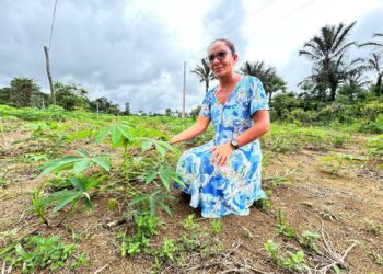 Semagric inicia atendimentos a 87 produtores rurais