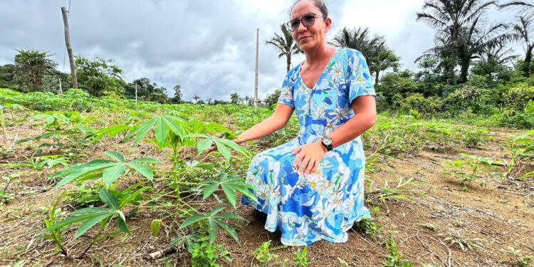 Semagric inicia atendimentos a 87 produtores rurais