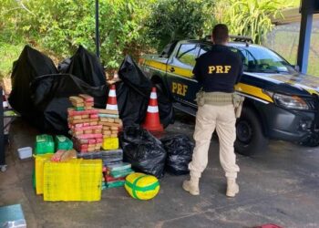PRF apreende 256 Kg de maconha em Marília