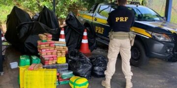 PRF apreende 256 Kg de maconha em Marília