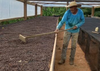 Porto Velho chega aos 111 anos ampliando apoio a quem produz no campo