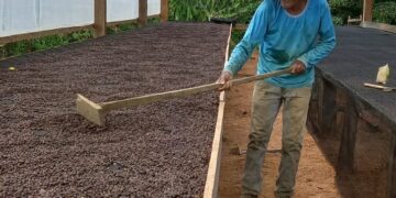 Porto Velho chega aos 111 anos ampliando apoio a quem produz no campo