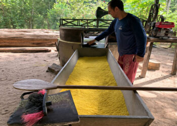 Microcrédito orientado pelo governo de RO fortalece agricultores familiares, mulheres e jovens rurais