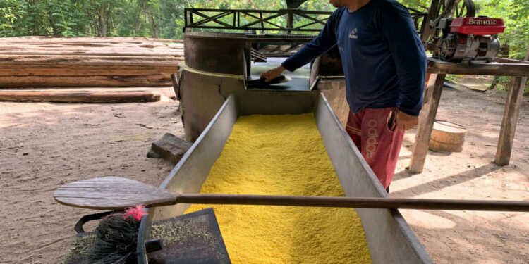 Microcrédito orientado pelo governo de RO fortalece agricultores familiares, mulheres e jovens rurais