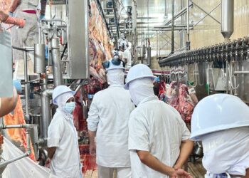 Inspeção Municipal da Semagric garante carne segura e fortalece a economia