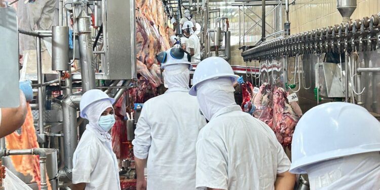 Inspeção Municipal da Semagric garante carne segura e fortalece a economia