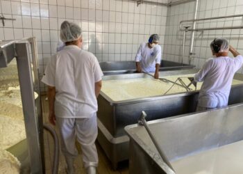 Auxiliar de Linha de Produção se destaca entre as mais de 2 mil vagas de emprego abertas pelo governo de RO