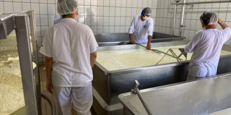 Auxiliar de Linha de Produção se destaca entre as mais de 2 mil vagas de emprego abertas pelo governo de RO