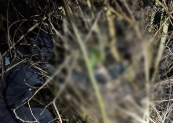 Polícia encontra corpo de corretora desaparecida em Caldas Novas e prende 2 suspeitos