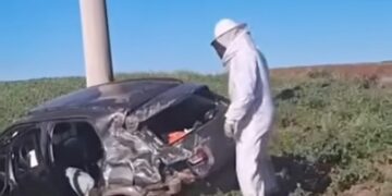 Moradora de Rosário do Sul se envolve em acidente inusitado após carro ser atingido por enxame de abelhas em Ijuí