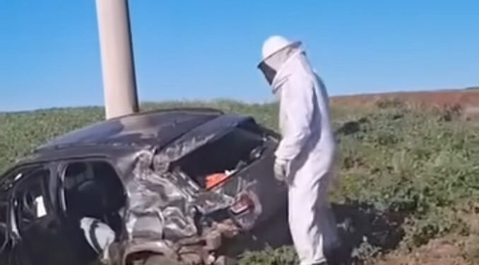 Moradora de Rosário do Sul se envolve em acidente inusitado após carro ser atingido por enxame de abelhas em Ijuí