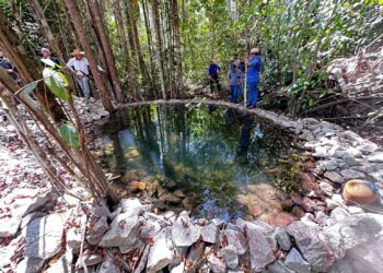 Governança climática e avanços estruturais colocam Rondônia em destaque na agenda ambiental entre 2019 e 2025