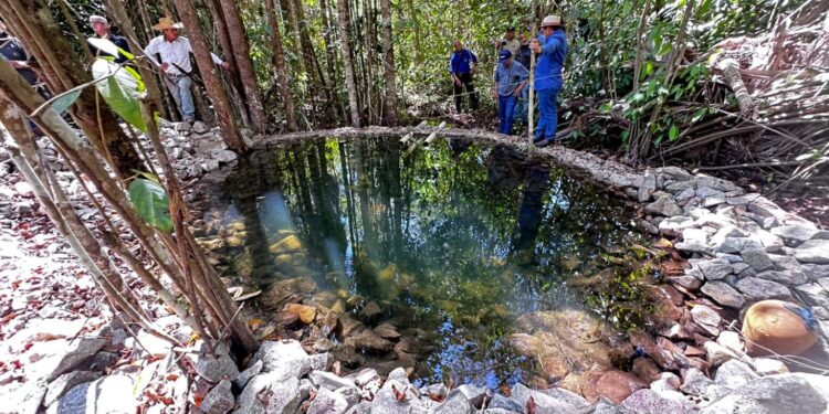 Governança climática e avanços estruturais colocam Rondônia em destaque na agenda ambiental entre 2019 e 2025
