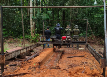 Força-tarefa do BPA, 5º BPM e SEDAM apreende serraria móvel na Estação Ecológica Samuel