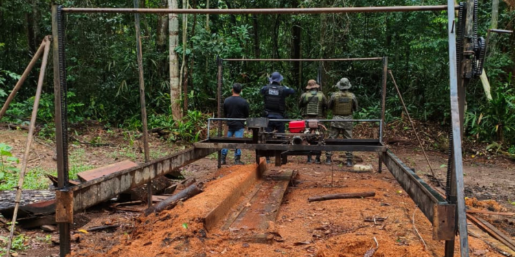 Força-tarefa do BPA, 5º BPM e SEDAM apreende serraria móvel na Estação Ecológica Samuel