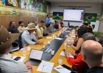 Câmara Setorial do Cacau se reúne em Porto Velho para debater desafios e fortalecer o setor no estado