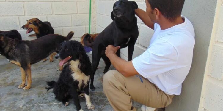 Ieda Chaves propõe criação de canis e gatis em presídios de Rondônia para ressocializar detentos