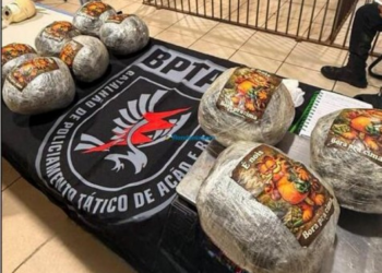 Polícia apreende 9 kg de maconha e prende um em casa usada para tráfico