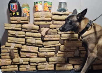 PM-AM apreende mais de 70 quilos de drogas escondidas em tubos de PVC