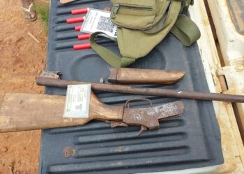 Homem é preso por posse ilegal de arma de fogo durante operação ambiental na zona rural de Porto Velho