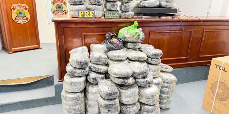 OPERAÇÃO PROTETOR DAS FRONTEIRAS APREENDE 173 KG DE MACONHA EM AÇÃO CONJUNTA EM RONDÔNIA