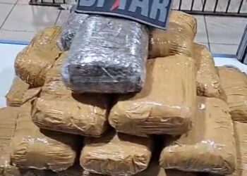 Menor ganharia R$ 700 por cada pacote para trazer maconha da Bolívia a Porto Velho, diz PM