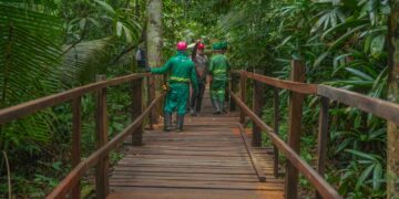 Trilha dentro da floresta é a nova atração do Parque Natural
