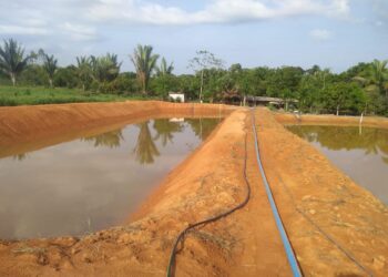 Piscicultura sustentável avança com parceria entre Prefeitura e Unir