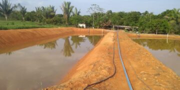 Piscicultura sustentável avança com parceria entre Prefeitura e Unir