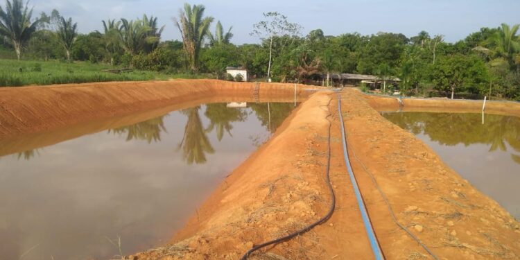 Piscicultura sustentável avança com parceria entre Prefeitura e Unir