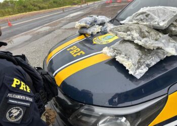 PRF prende homem e realiza apreensão milionária de haxixe e skunk em Bagé