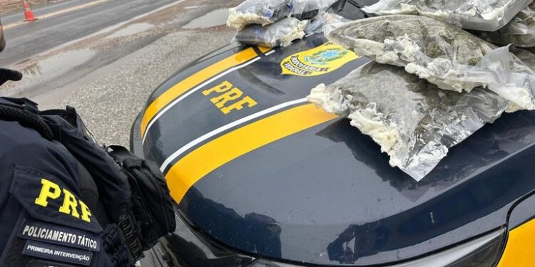PRF prende homem e realiza apreensão milionária de haxixe e skunk em Bagé