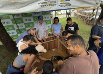 Adoção de cães e gatos é sucesso em feira realizada pela prefeitura