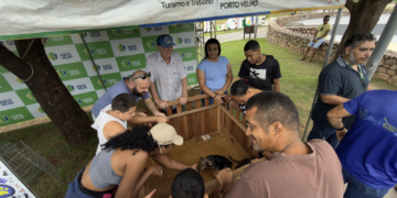 Adoção de cães e gatos é sucesso em feira realizada pela prefeitura