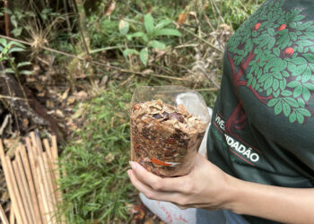 O Carnaval de Porto Velho será lembrado não apenas pelo ritmo nas ruas, mas pelas raízes que agora crescem no solo do Assentamento Nova Conquista.
