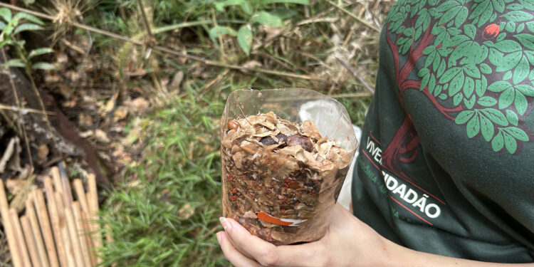 O Carnaval de Porto Velho será lembrado não apenas pelo ritmo nas ruas, mas pelas raízes que agora crescem no solo do Assentamento Nova Conquista.