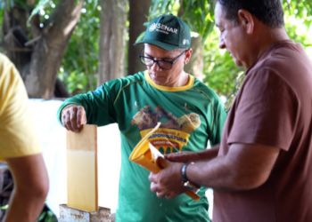 Capacitação fortalece apicultura de PVH