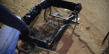 Instalação de ecobueiros avança para outras avenidas de PVH