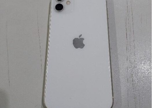 ARIQUEMES – AÇÃO RÁPIDA DA PM RESULTA NA APREENSÃO DE ENVOLVIDOS EM ROUBOS E RECUPERAÇÃO DE CELULARES SUBTRAÍDOS