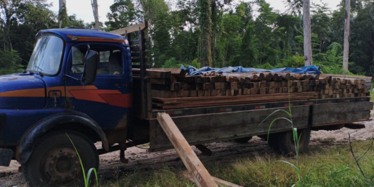 Batalhão de Polícia Ambiental flagra transporte ilegal de madeira durante operação no Parque Estadual Guajará-Mirim