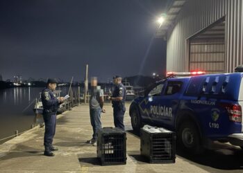 PMRO Localiza e Prende foragido da justiça do DF em Guajará-Mirim