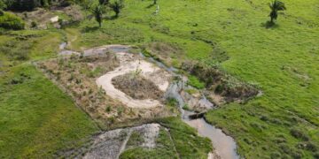 Ações de recuperação de nascentes são fortalecidas pelo governo de RO na microbacia do Rio Araras, em Cerejeiras