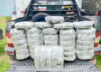 AÇÃO INTEGRADA DAS FORÇAS DE SEGURANÇA RESULTA EM APREENSÃO DE ENTORPECENTES EM RONDÔNIA