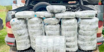 AÇÃO INTEGRADA DAS FORÇAS DE SEGURANÇA RESULTA EM APREENSÃO DE ENTORPECENTES EM RONDÔNIA